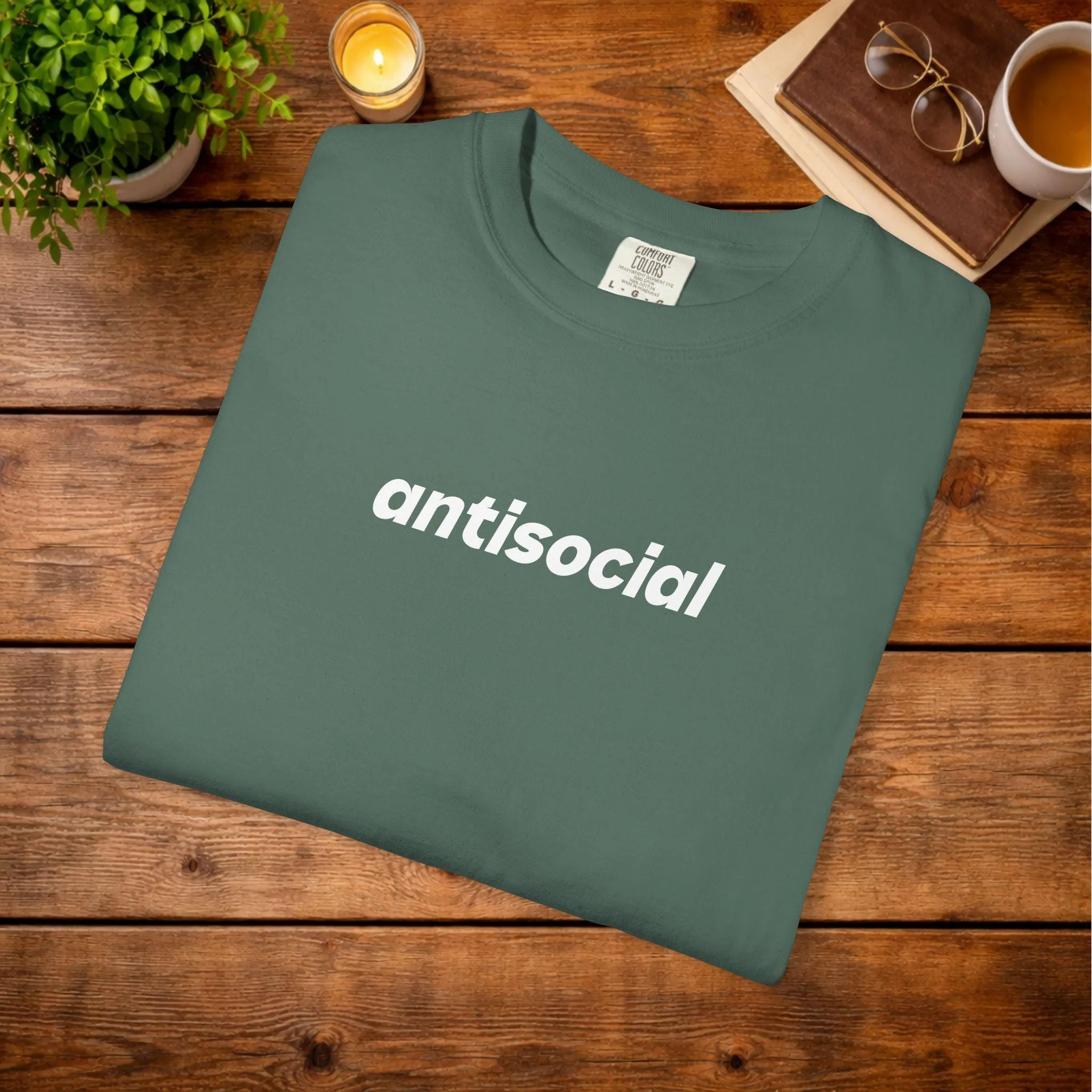antisocial T-Shirt | minimalist text tee, gray garment-dyed shirt